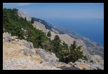 Kefalonia - Ainos National Park -20-06-2021 - Bogdan Balaban